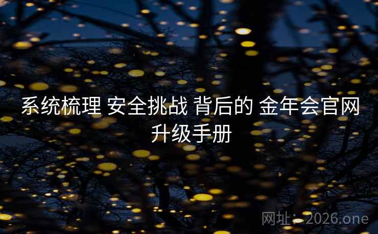 系统梳理 安全挑战 背后的 金年会官网 升级手册