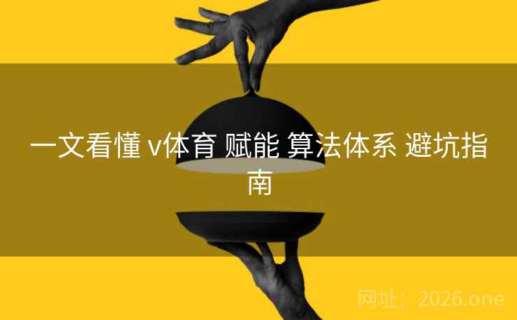 一文看懂 v体育 赋能 算法体系 避坑指南
