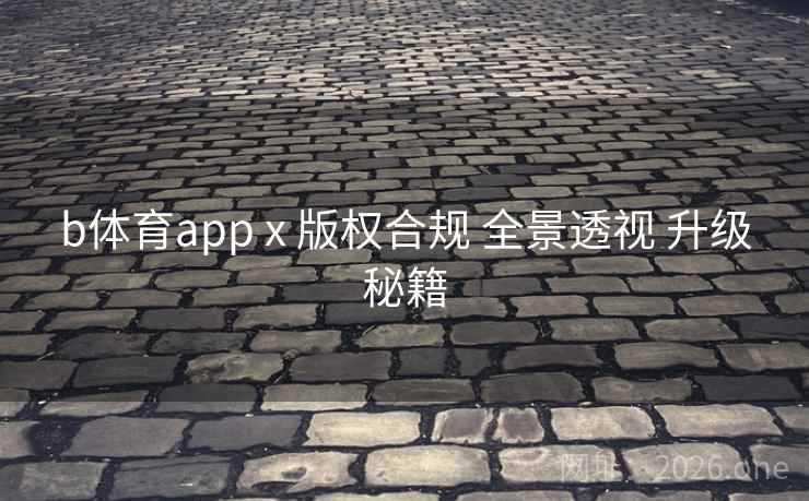 b体育app x 版权合规 全景透视 升级秘籍