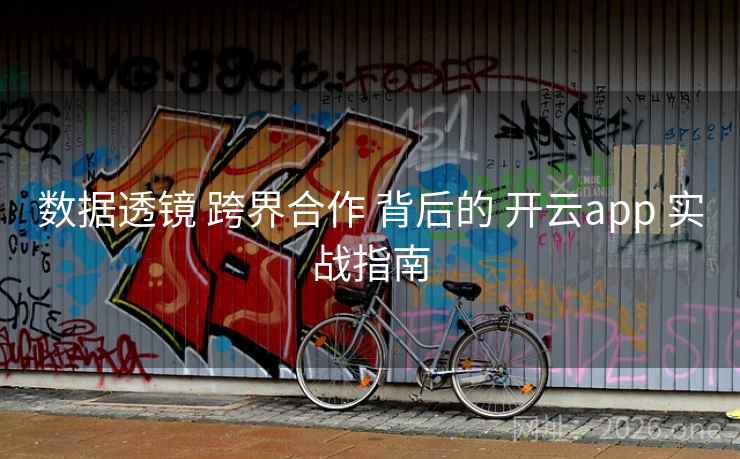 数据透镜 跨界合作 背后的 开云app 实战指南