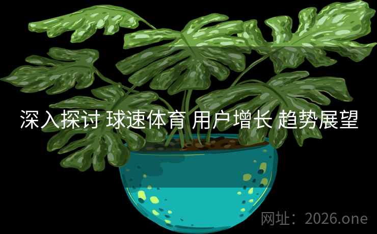 深入探讨 球速体育 用户增长 趋势展望