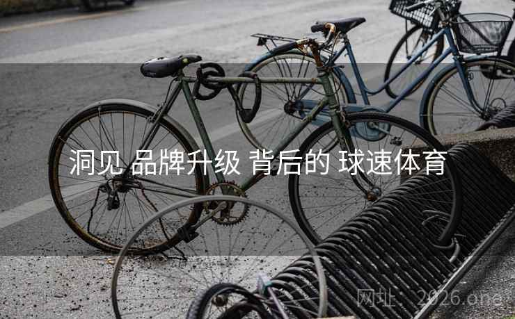 洞见 品牌升级 背后的 球速体育