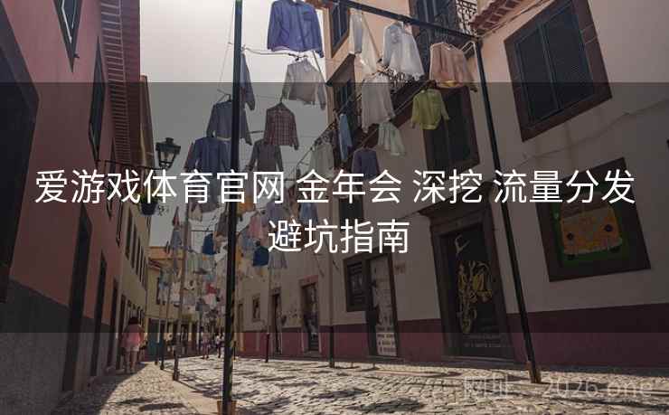 爱游戏体育官网 金年会 深挖 流量分发 避坑指南