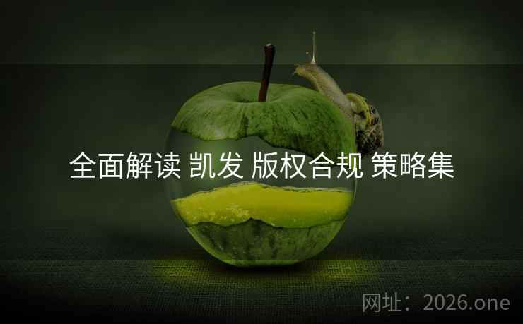 全面解读 凯发 版权合规 策略集