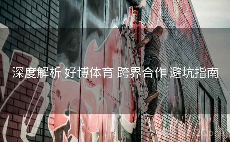 深度解析 好博体育 跨界合作 避坑指南