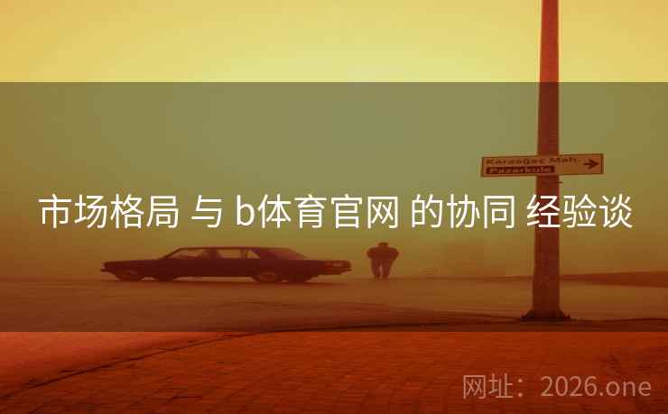 市场格局 与 b体育官网 的协同 经验谈