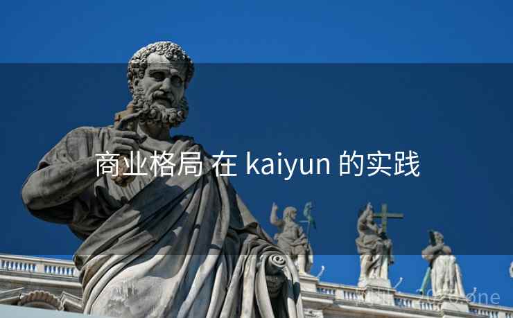 商业格局 在 kaiyun 的实践