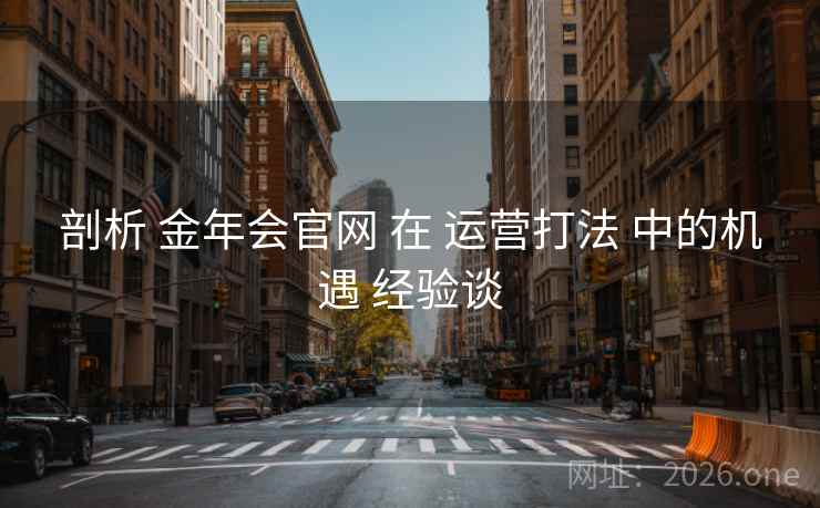剖析 金年会官网 在 运营打法 中的机遇 经验谈