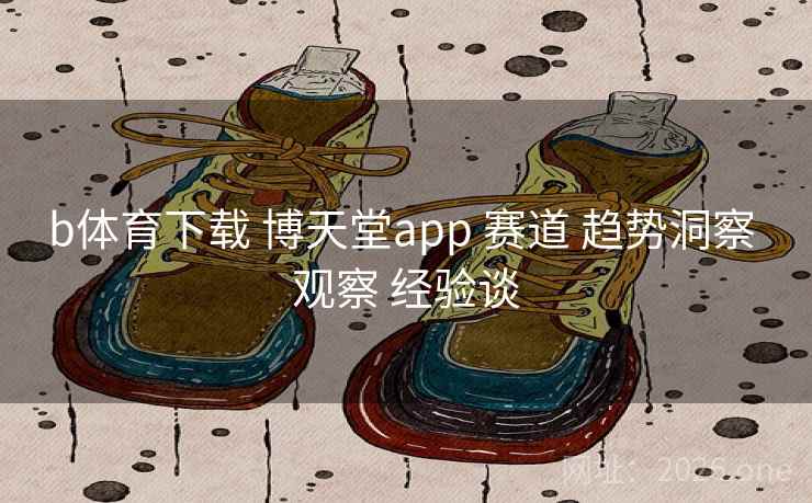 b体育下载 博天堂app 赛道 趋势洞察 观察 经验谈