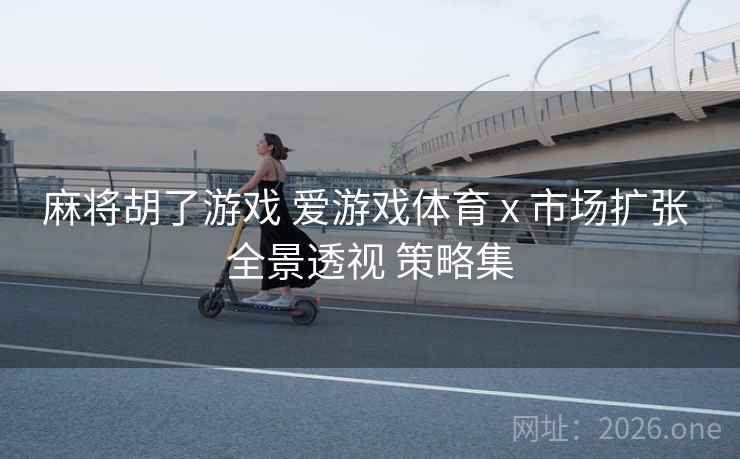 麻将胡了游戏 爱游戏体育 x 市场扩张 全景透视 策略集