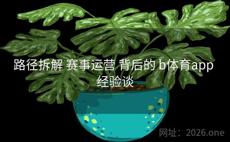 路径拆解 赛事运营 背后的 b体育app 经验谈