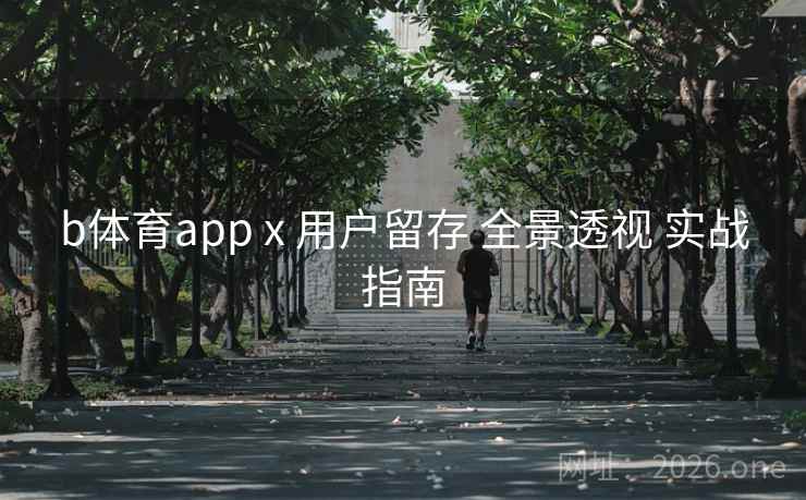 b体育app x 用户留存 全景透视 实战指南