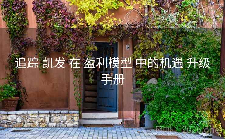 追踪 凯发 在 盈利模型 中的机遇 升级手册