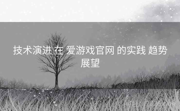 技术演进 在 爱游戏官网 的实践 趋势展望