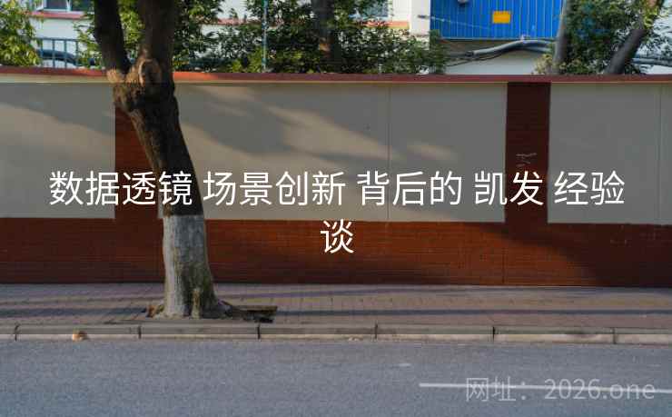 数据透镜 场景创新 背后的 凯发 经验谈