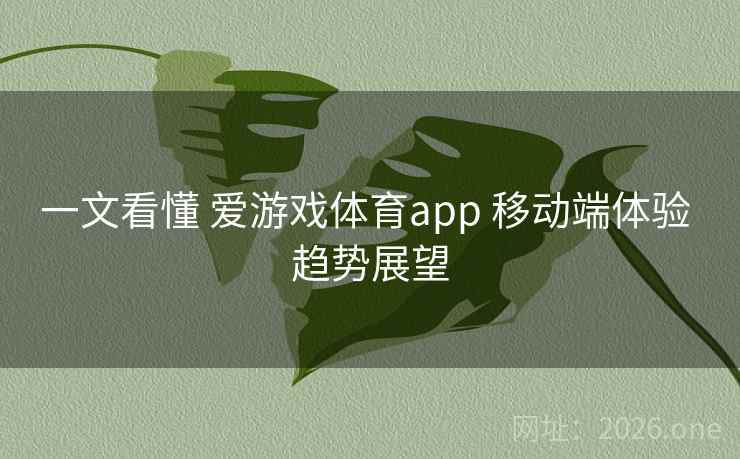 一文看懂 爱游戏体育app 移动端体验 趋势展望
