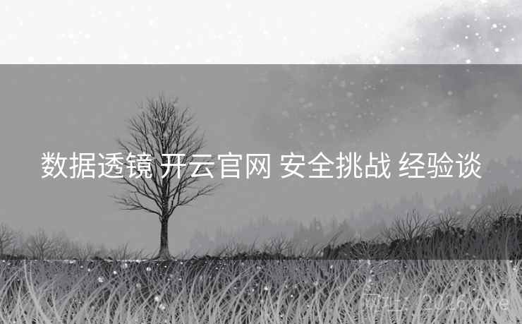 数据透镜 开云官网 安全挑战 经验谈