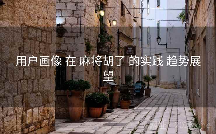 用户画像 在 麻将胡了 的实践 趋势展望